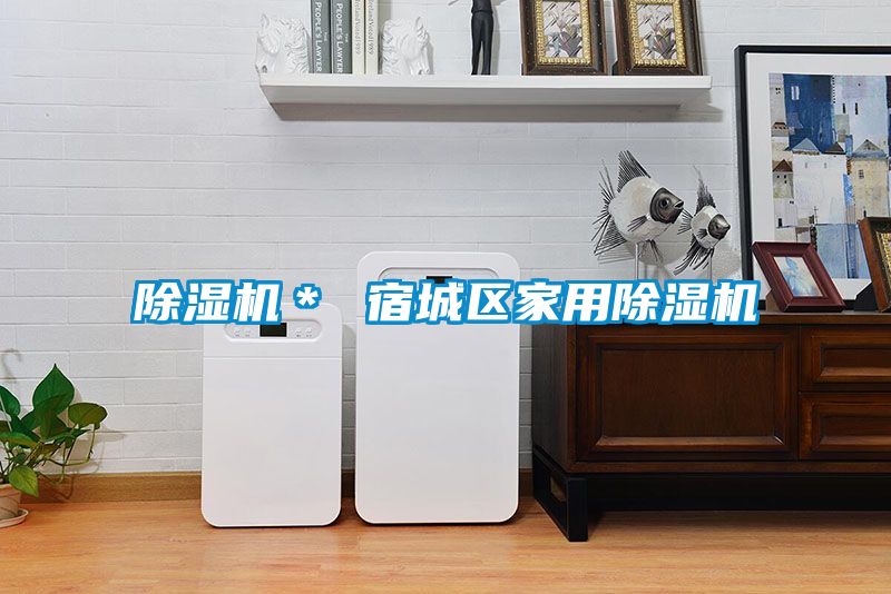除濕機* 宿城區(qū)家用除濕機