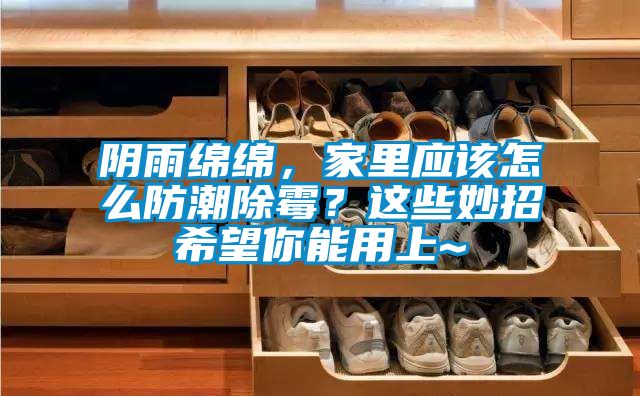 陰雨綿綿,家里應(yīng)該怎么防潮除霉?這些妙招希望你能用上~