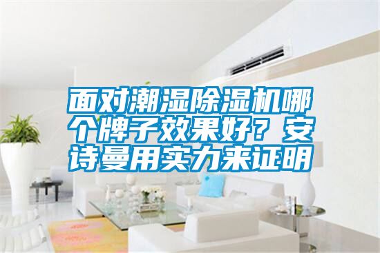 面對潮濕除濕機(jī)哪個牌子效果好？安詩曼用實(shí)力來證明
