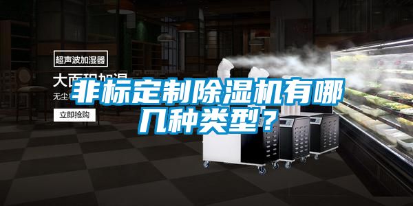 非標定制除濕機有哪幾種類型?
