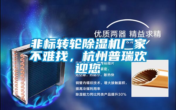 非標(biāo)轉(zhuǎn)輪除濕機(jī)廠家不難找,杭州普瑞歡迎您