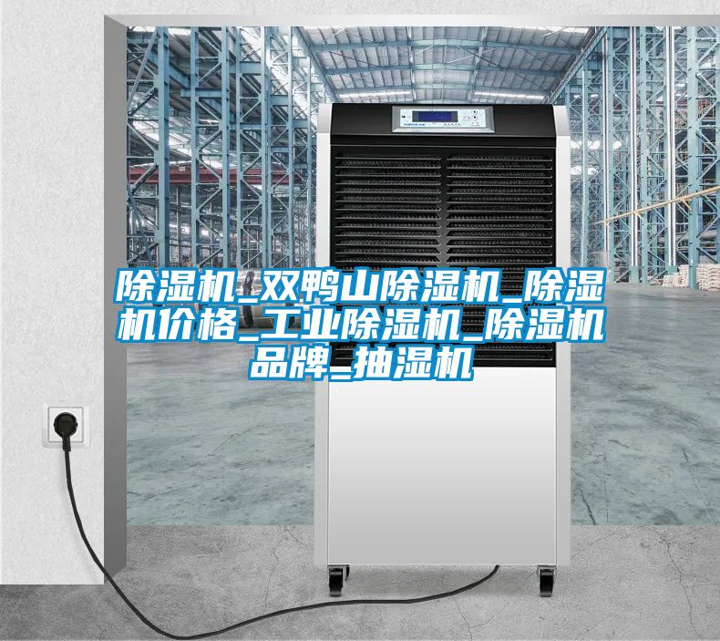 除濕機_雙鴨山除濕機_除濕機價格_工業除濕機_除濕機品牌_抽濕機