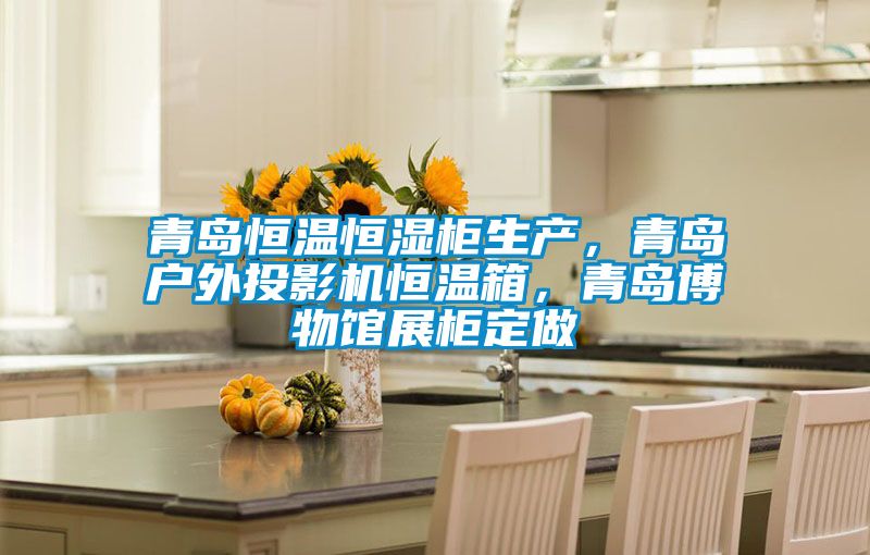 青島恒溫恒濕柜生產，青島戶外投影機恒溫箱，青島博物館展柜定做