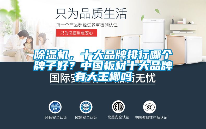 除濕機(jī),十大品牌排行哪個(gè)牌子好?中國(guó)板材十大品牌有大王椰嗎