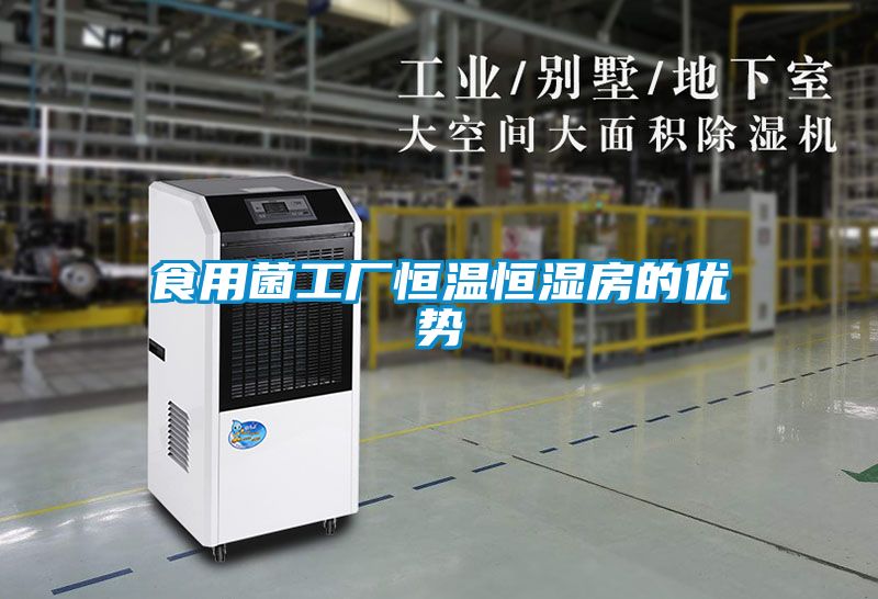 食用菌工廠恒溫恒濕房的優勢