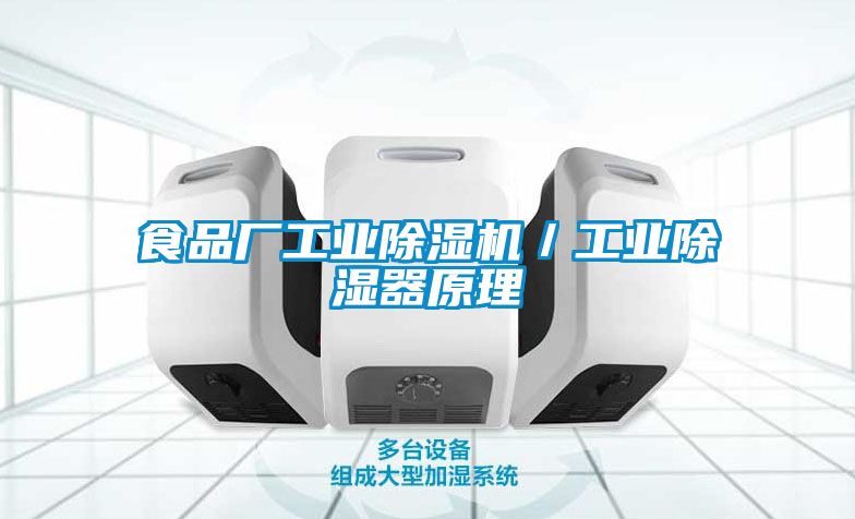 食品廠工業(yè)除濕機(jī)/工業(yè)除濕器原理
