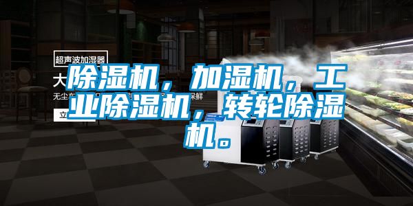 除濕機,加濕機,工業(yè)除濕機,轉(zhuǎn)輪除濕機。