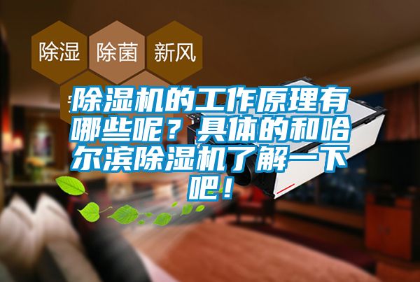 除濕機的工作原理有哪些呢？具體的和哈爾濱除濕機了解一下吧！
