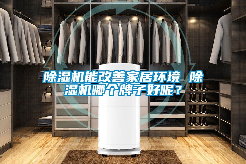 除濕機(jī)能改善家居環(huán)境 除濕機(jī)哪個(gè)牌子好呢？