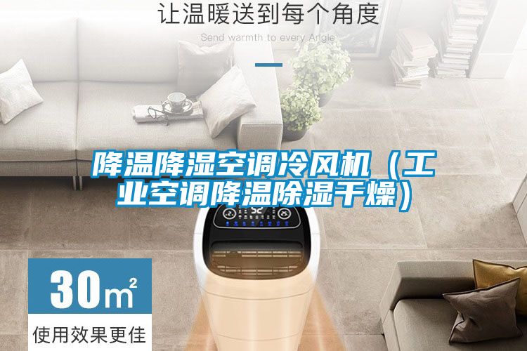 降溫降濕空調冷風機（工業空調降溫除濕干燥）