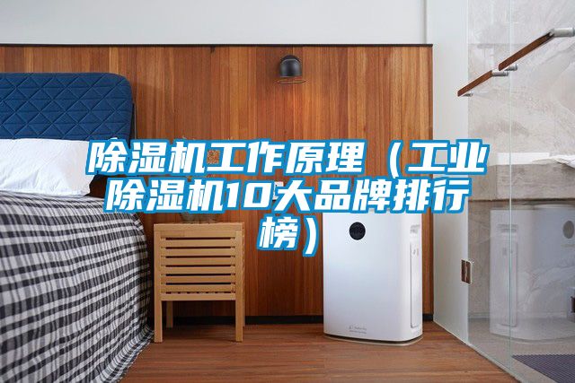 除濕機工作原理（工業除濕機10大品牌排行榜）