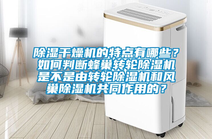 除濕干燥機的特點有哪些?如何判斷蜂巢轉(zhuǎn)輪除濕機是不是由轉(zhuǎn)輪除濕機和風巢除濕機共同作用的?