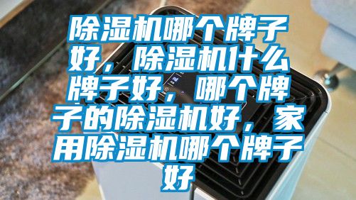 除濕機哪個牌子好,除濕機什么牌子好,哪個牌子的除濕機好,家用除濕機哪個牌子好