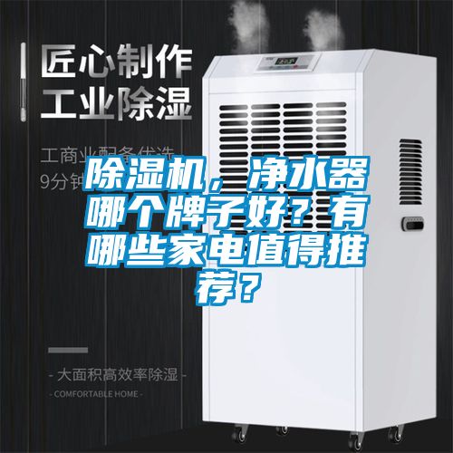 除濕機,凈水器哪個牌子好?有哪些家電值得推薦?