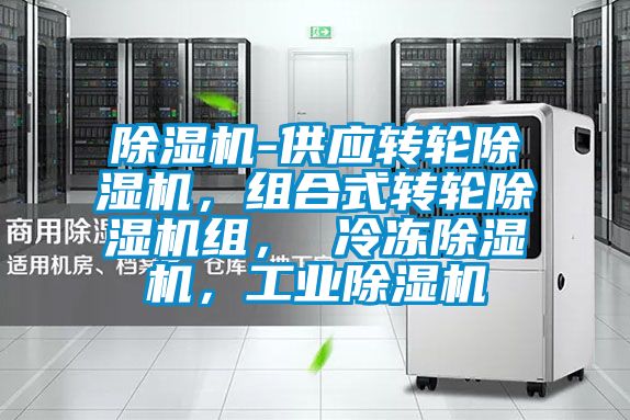 除濕機-供應轉輪除濕機，組合式轉輪除濕機組， 冷凍除濕機，工業除濕機