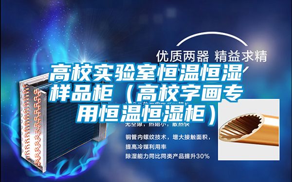 高校實驗室恒溫恒濕樣品柜(高校字畫專用恒溫恒濕柜)