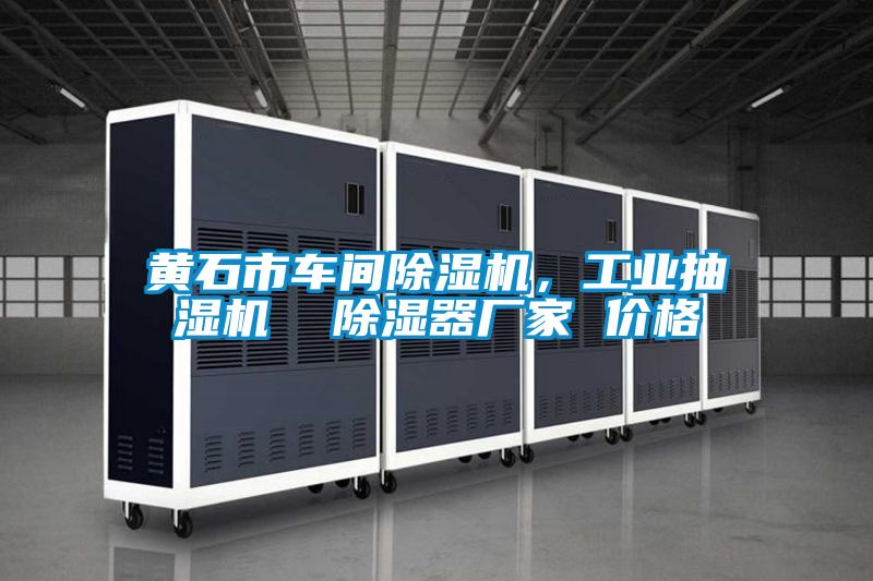 黃石市車間除濕機(jī)，工業(yè)抽濕機(jī)  除濕器廠家 價格