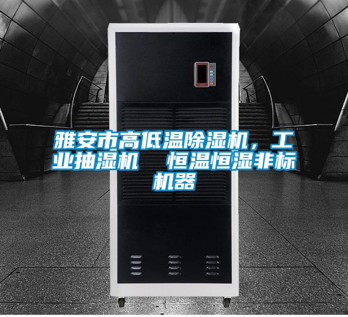 雅安市高低溫除濕機，工業(yè)抽濕機  恒溫恒濕非標機器
