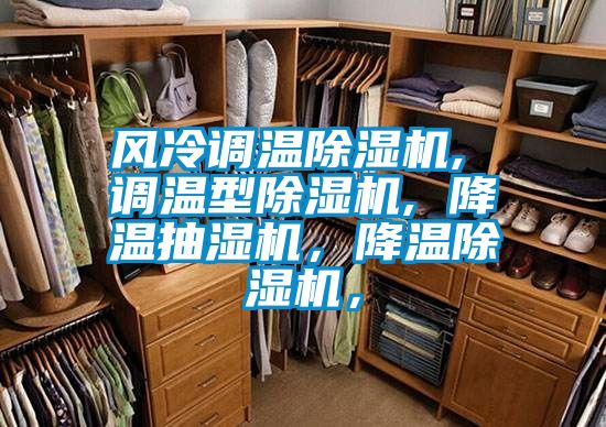 風(fēng)冷調(diào)溫除濕機, 調(diào)溫型除濕機, 降溫抽濕機,降溫除濕機,