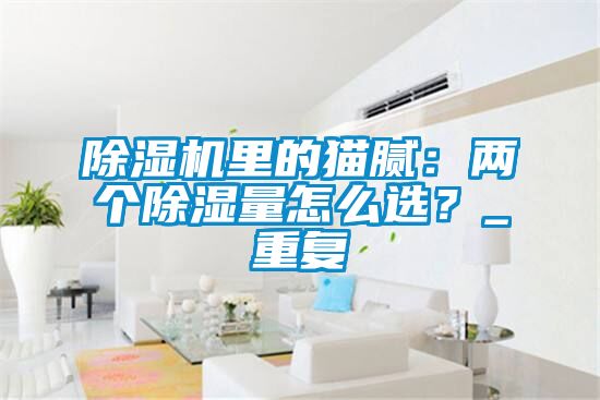 除濕機里的貓膩:兩個除濕量怎么選?_重復