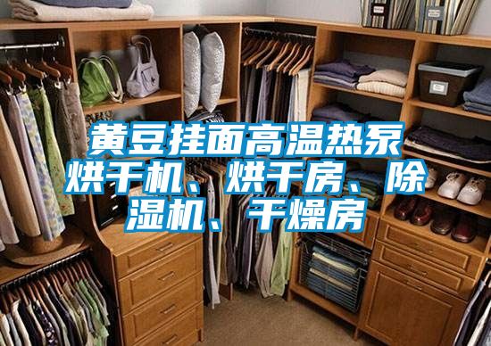 黃豆掛面高溫?zé)岜煤娓蓹C(jī)、烘干房、除濕機(jī)、干燥房