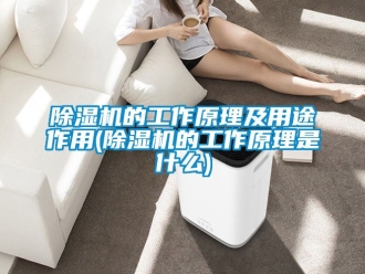 企業新聞除濕機的工作原理及用途作用(除濕機的工作原理是什么)