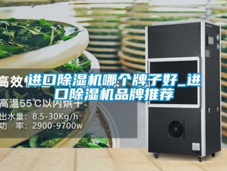企業新聞進口除濕機哪個牌子好_進口除濕機品牌推薦