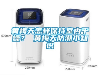 常見問題黃梅天怎樣保持室內干燥？ 黃梅天防潮小知識