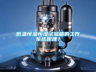 知識(shí)百科低溫恒溫恒濕試驗(yàn)箱的工作系統(tǒng)原理？
