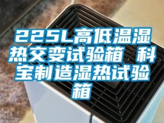 常見問題225L高低溫濕熱交變試驗箱 科寶制造濕熱試驗箱
