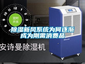 企業新聞除濕新風系統為何逐漸成為剛需消費品