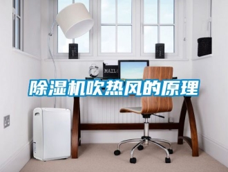 企業新聞除濕機吹熱風的原理