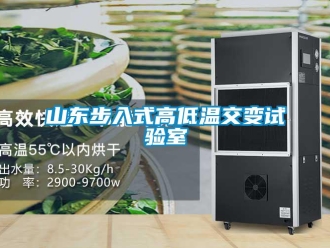 常見問題山東步入式高低溫交變試驗室