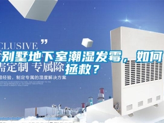 常見問題別墅地下室潮濕發霉，如何拯救？