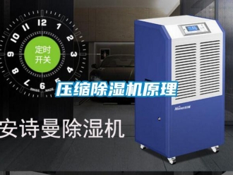 行業新聞壓縮除濕機原理
