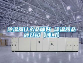 行業(yè)新聞除濕器什么品牌好 除濕器品牌介紹【詳解】