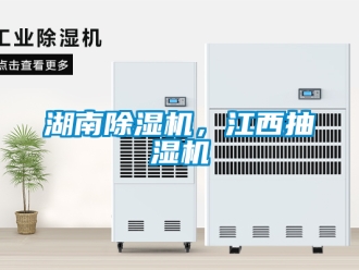 行業(yè)新聞湖南除濕機，江西抽濕機