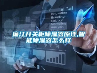 行業新聞廉江開關柜除濕器原理,智能除濕器怎么樣