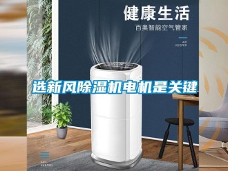知識百科選新風(fēng)除濕機電機是關(guān)鍵
