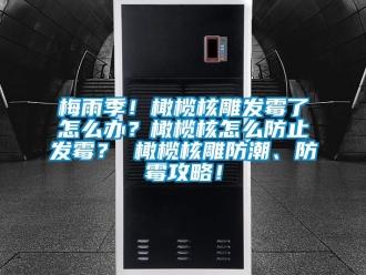 常見問題梅雨季！橄欖核雕發霉了怎么辦？橄欖核怎么防止發霉？ 橄欖核雕防潮、防霉攻略！