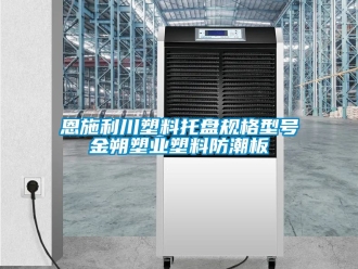 常見問題恩施利川塑料托盤規格型號金朔塑業塑料防潮板