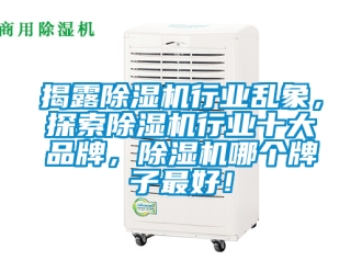企業新聞揭露除濕機行業亂象，探索除濕機行業十大品牌，除濕機哪個牌子最好！