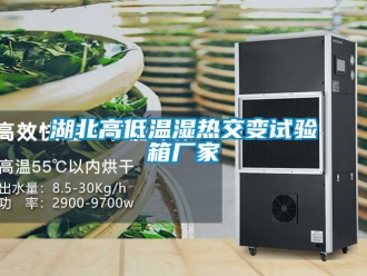 常見問題湖北高低溫濕熱交變試驗箱廠家