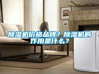企業新聞除濕機價格品牌？除濕機的作用是什么？