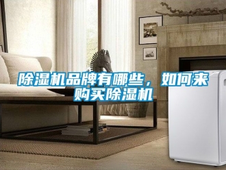 企業新聞除濕機品牌有哪些，如何來購買除濕機