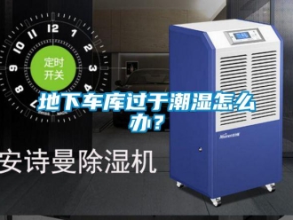 企業(yè)新聞地下車庫(kù)過于潮濕怎么辦？