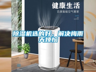 企業新聞除濕機選的好，解決梅雨天煩惱