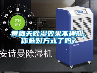 常見問題黃梅天除濕效果不理想，你選對方式了嗎？