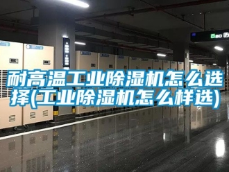 常見問題耐高溫工業(yè)除濕機怎么選擇(工業(yè)除濕機怎么樣選)