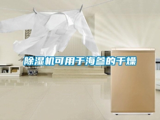 常見問題除濕機可用于海參的干燥